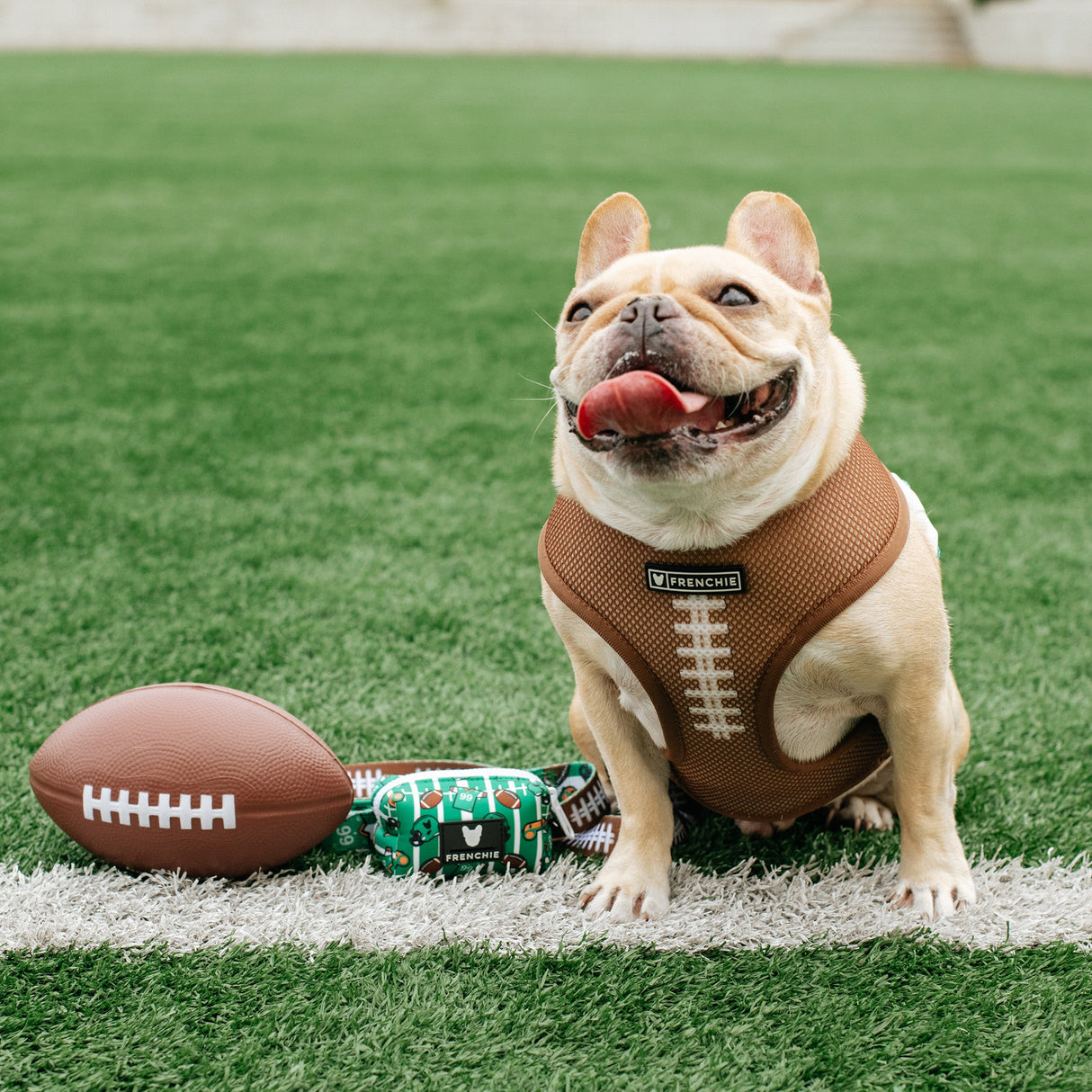 Frenchie Duo Reversible Harness - Touchdown from Frenchie Bulldog