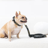 Frenchie Vegan Leather Collar, Leash, & Bow Tie Set from Frenchie Bulldog