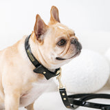 Frenchie Vegan Leather Collar, Leash, & Bow Tie Set from Frenchie Bulldog