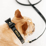 Frenchie Vegan Leather Collar, Leash, & Bow Tie Set from Frenchie Bulldog