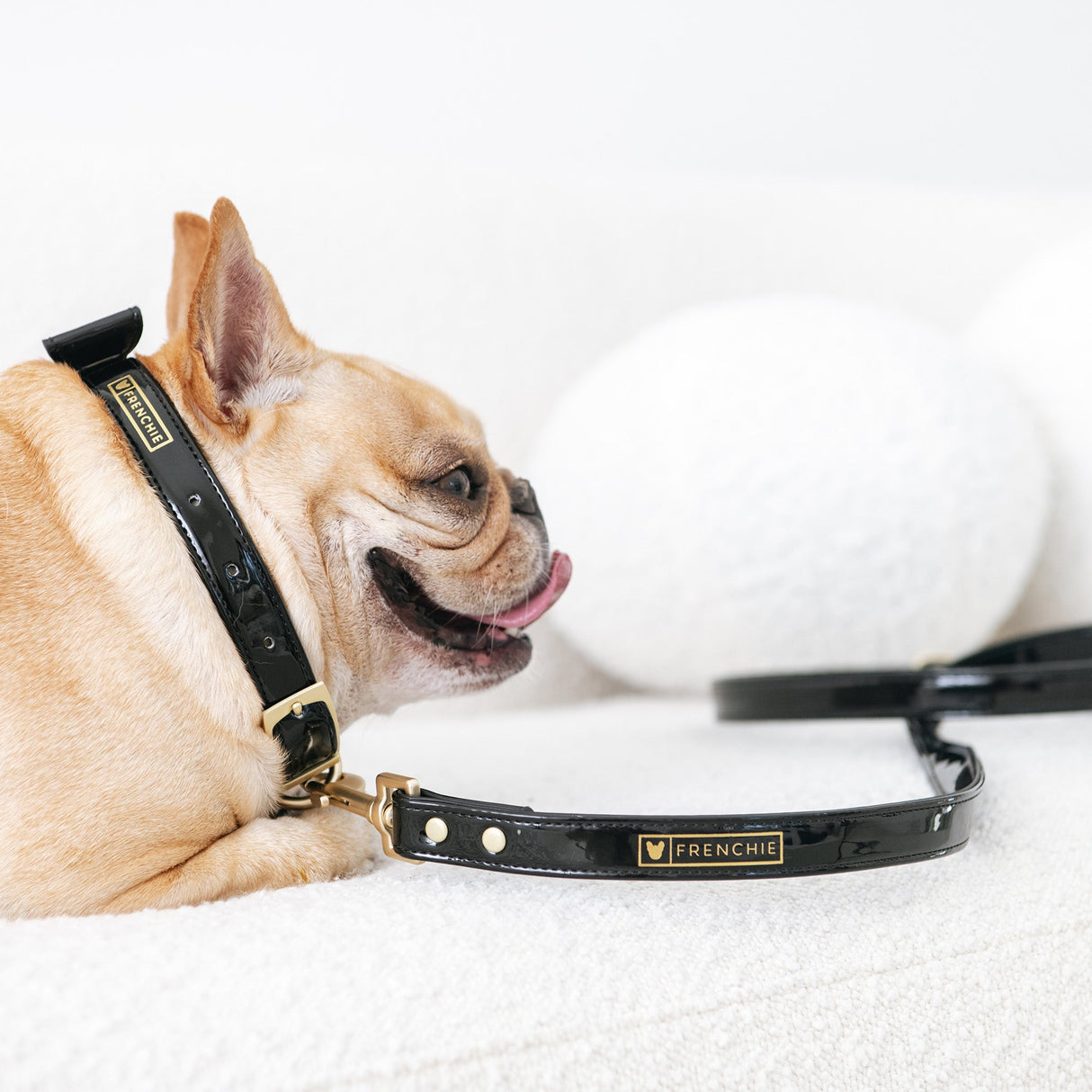 Frenchie Vegan Leather Collar, Leash, & Bow Tie Set from Frenchie Bulldog