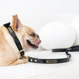 Frenchie Vegan Leather Collar, Leash, & Bow Tie Set from Frenchie Bulldog