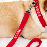 Frenchie Velvet Collar & Leash Set from Frenchie Bulldog