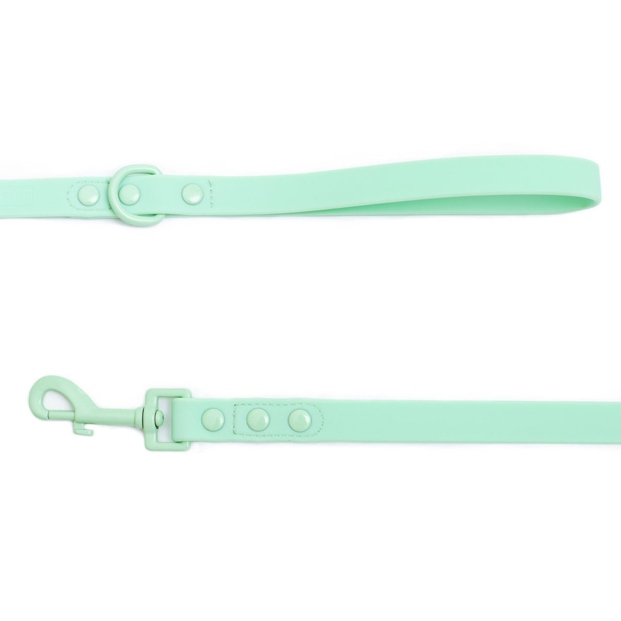 Frenchie Waterproof Leash - Mint Green from Frenchie Bulldog