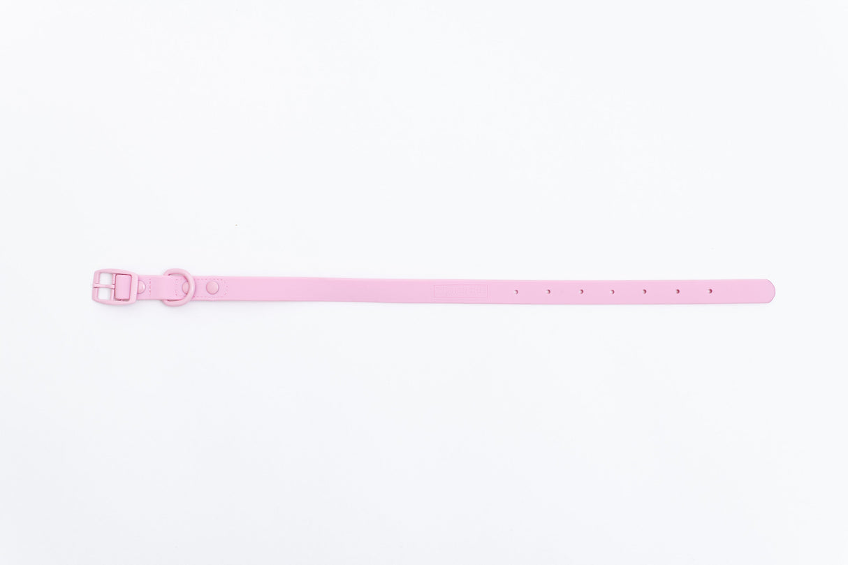 Frenchie Waterproof Collar - Pink Bubblegum from Frenchie Bulldog