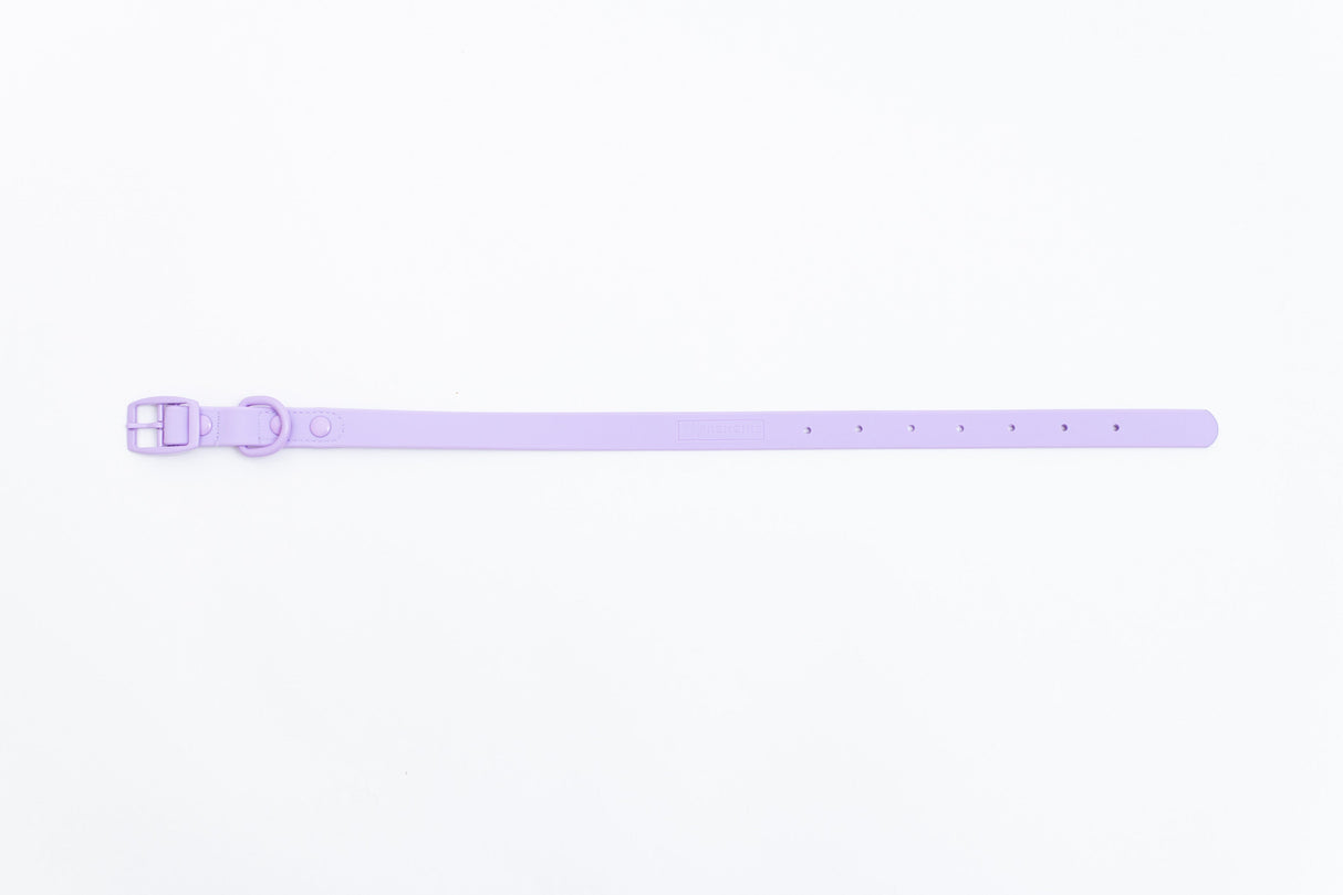 Frenchie Waterproof Collar - Violet from Frenchie Bulldog