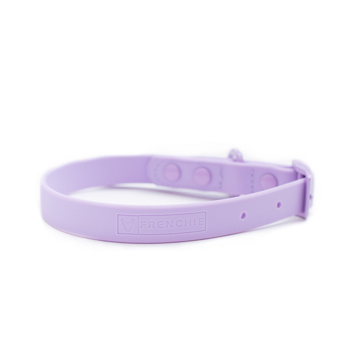 Frenchie Waterproof Collar - Violet from Frenchie Bulldog