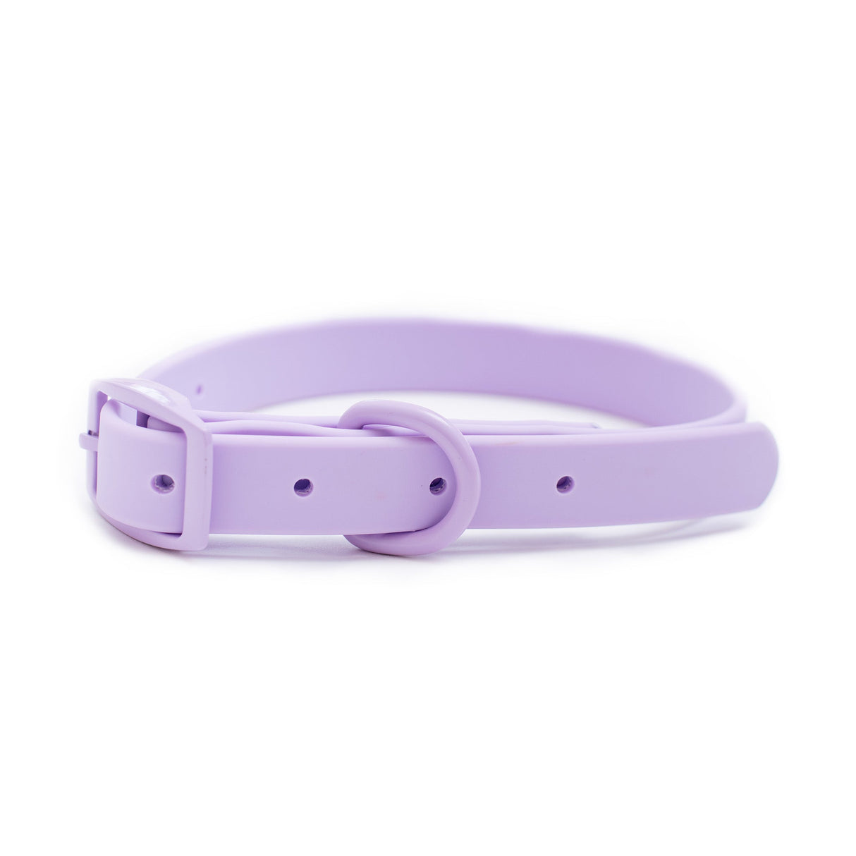Frenchie Waterproof Collar - Violet from Frenchie Bulldog