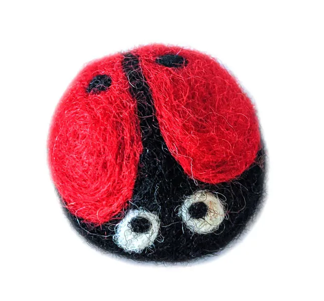GINA THE LADYBUG (100% WOOL) from ReNewedPet