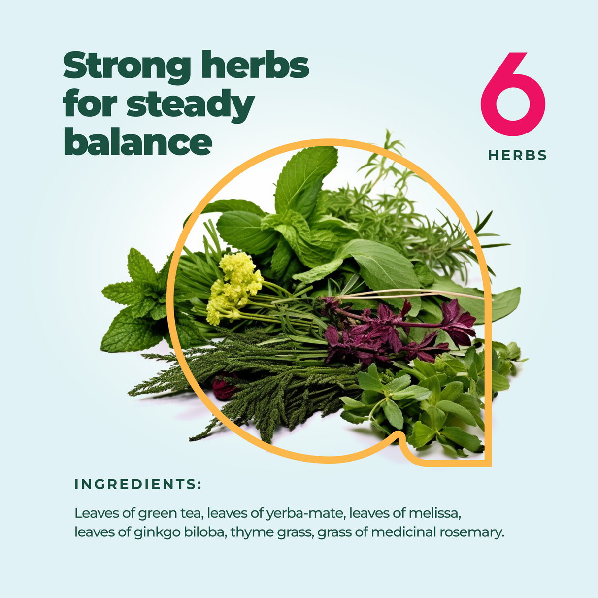 Focus & Concentration Herbal Tea, 60 Bags from Aprika Life