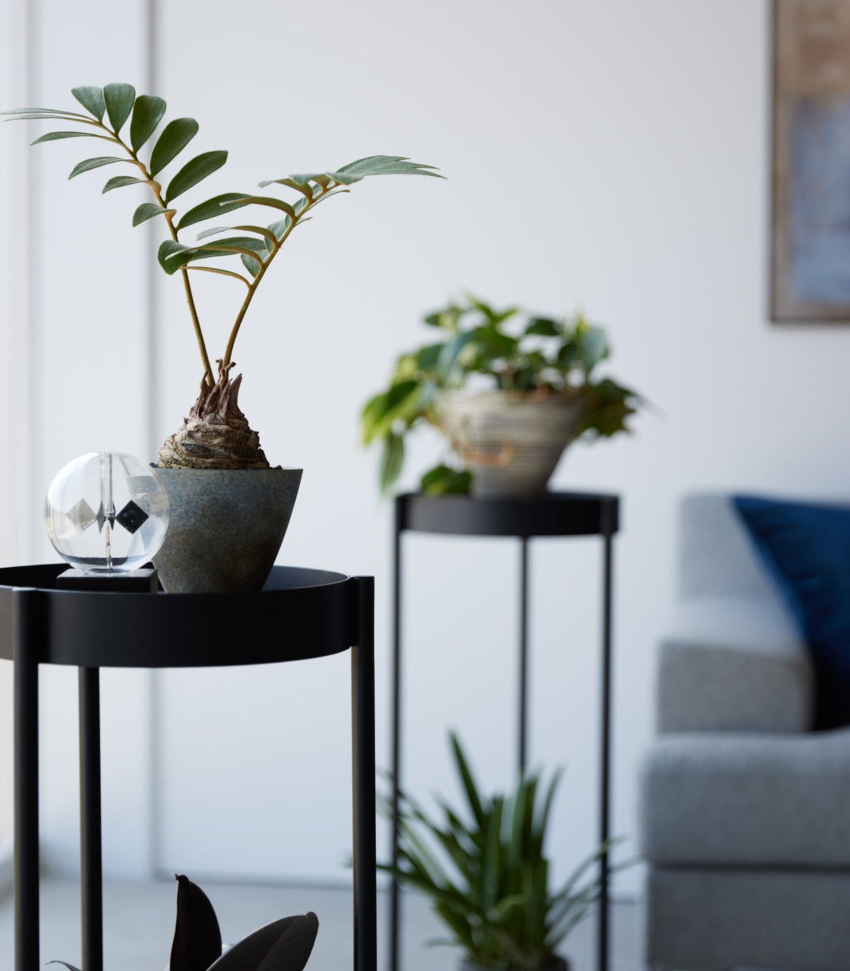 Two-Tier Rolling Plant Stand (28" H)  - Steel from Yamazaki Home