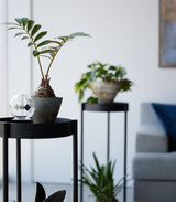 Two-Tier Rolling Plant Stand (28" H)  - Steel from Yamazaki Home