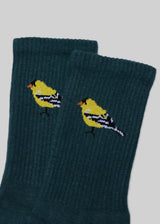 The Flock Crew from American Trench