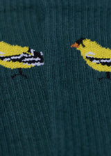 The Flock Crew from American Trench
