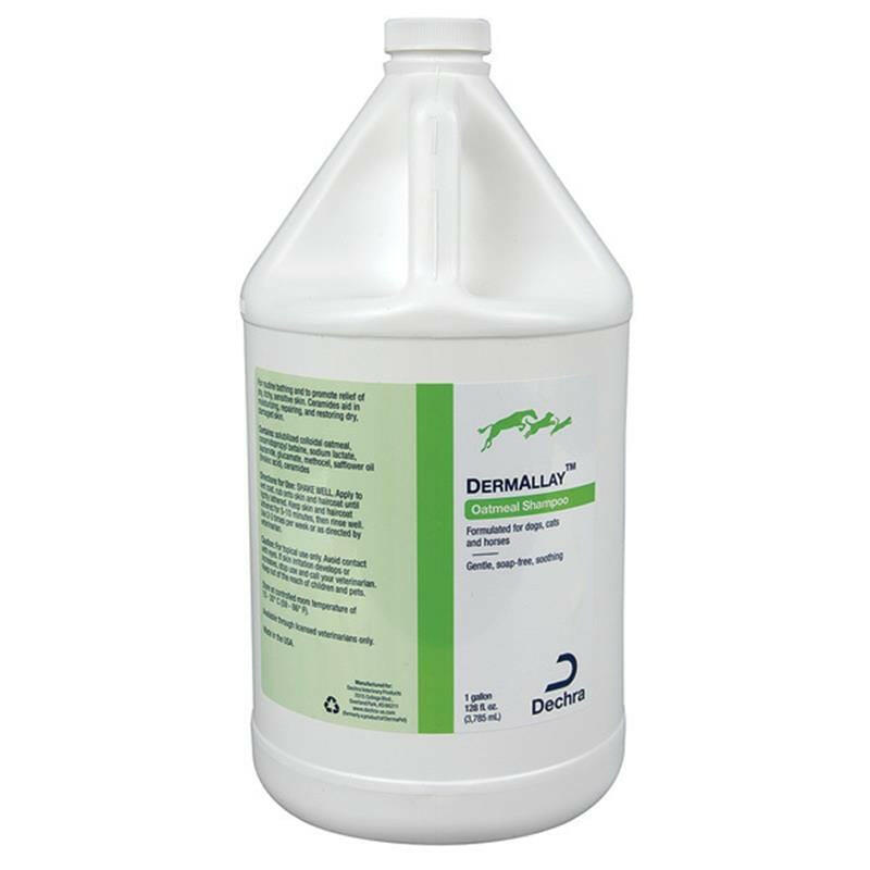 DermAllay Oatmeal Shampoo from HardyPaw