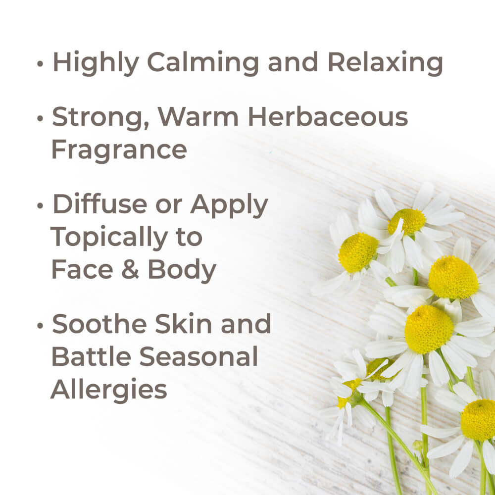 Organic German Chamomile Essential Oil from Plant Therapy