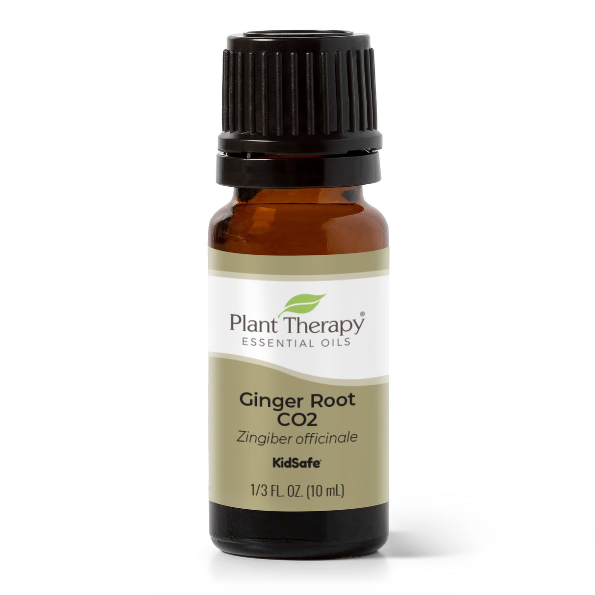 Ginger Root CO2 Extract from Plant Therapy