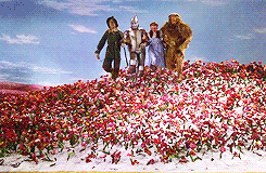 We're Off To See The Wizard from Wicked Good Perfume