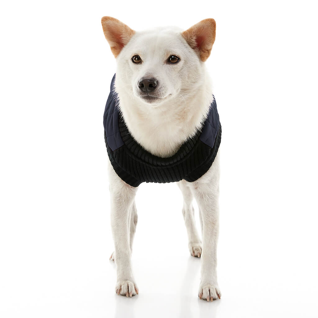 Fashion Vest from Gooby