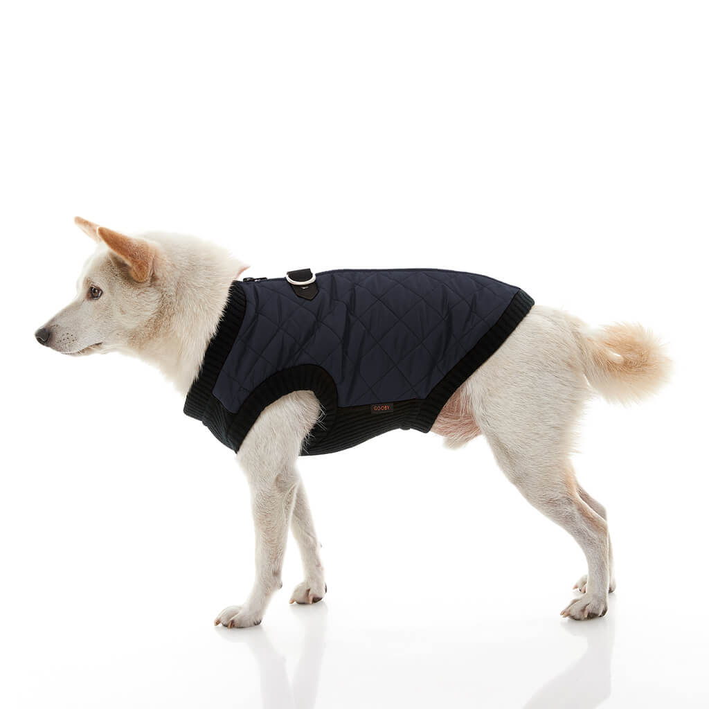 Fashion Vest from Gooby