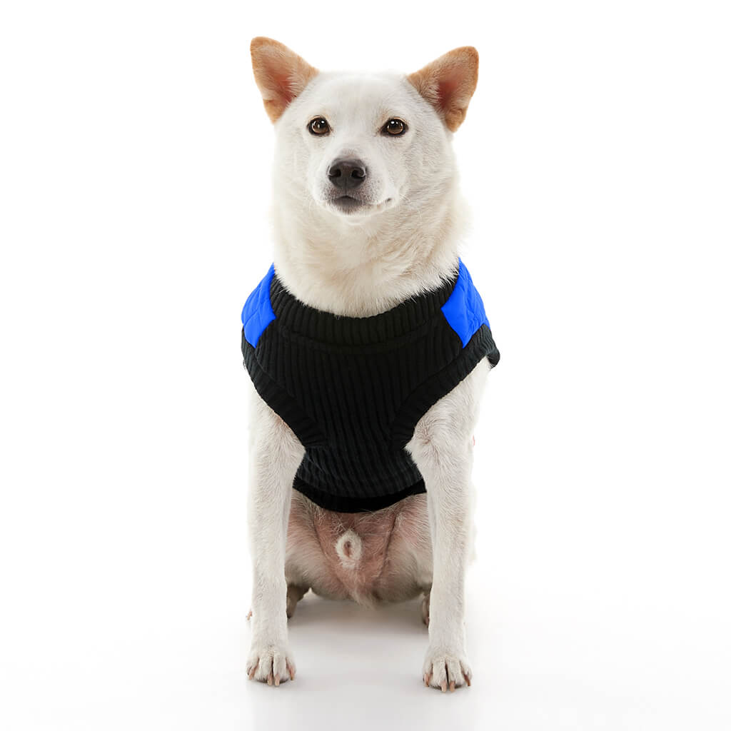 Fashion Vest from Gooby