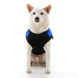 Fashion Vest from Gooby