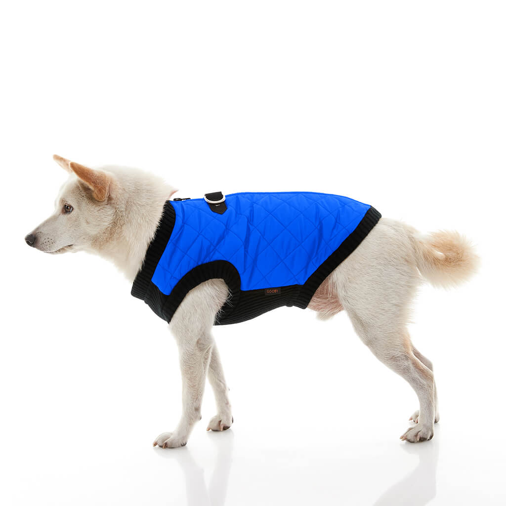 Fashion Vest from Gooby