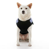 Fashion Vest from Gooby