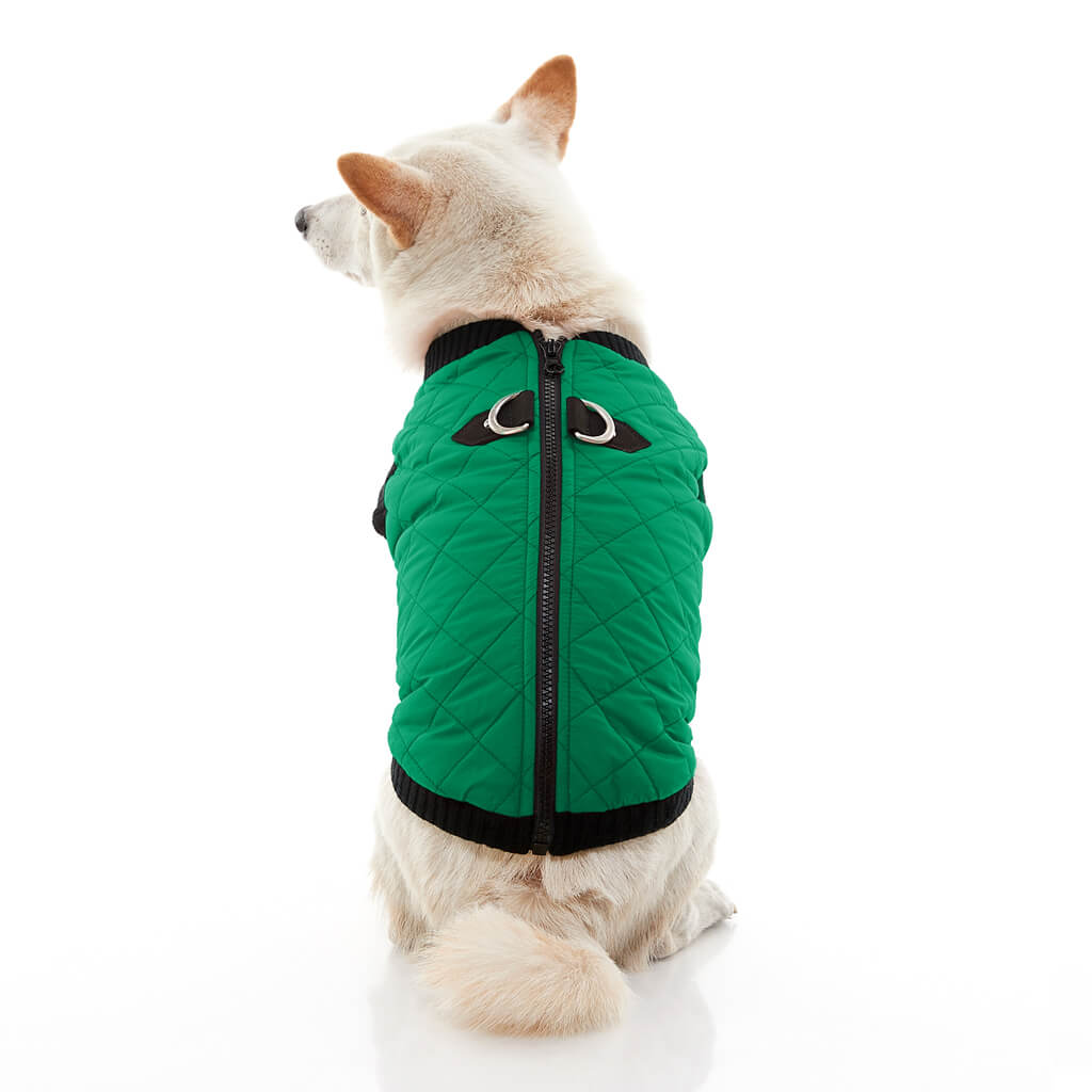 Fashion Vest from Gooby