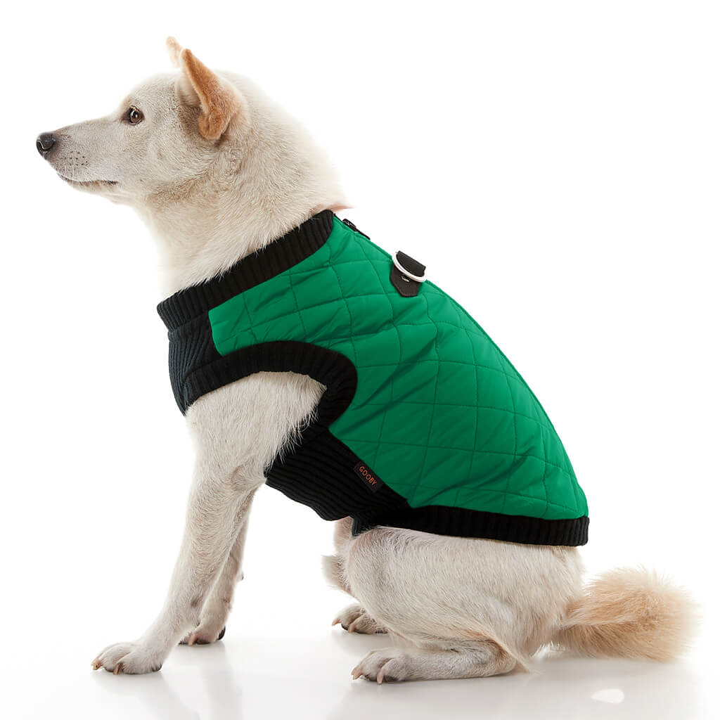 Fashion Vest from Gooby