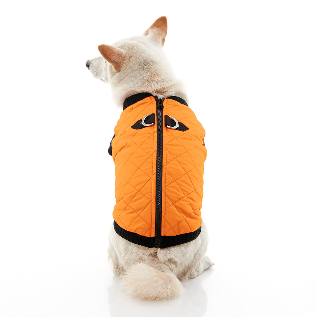 Fashion Vest from Gooby