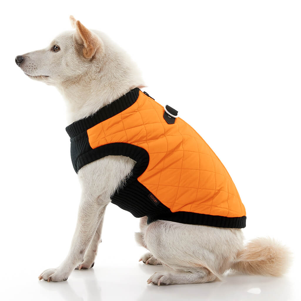Fashion Vest from Gooby