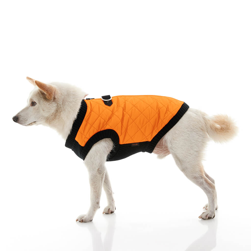 Fashion Vest from Gooby