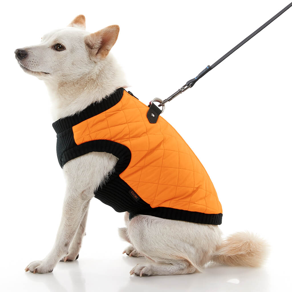 Fashion Vest from Gooby