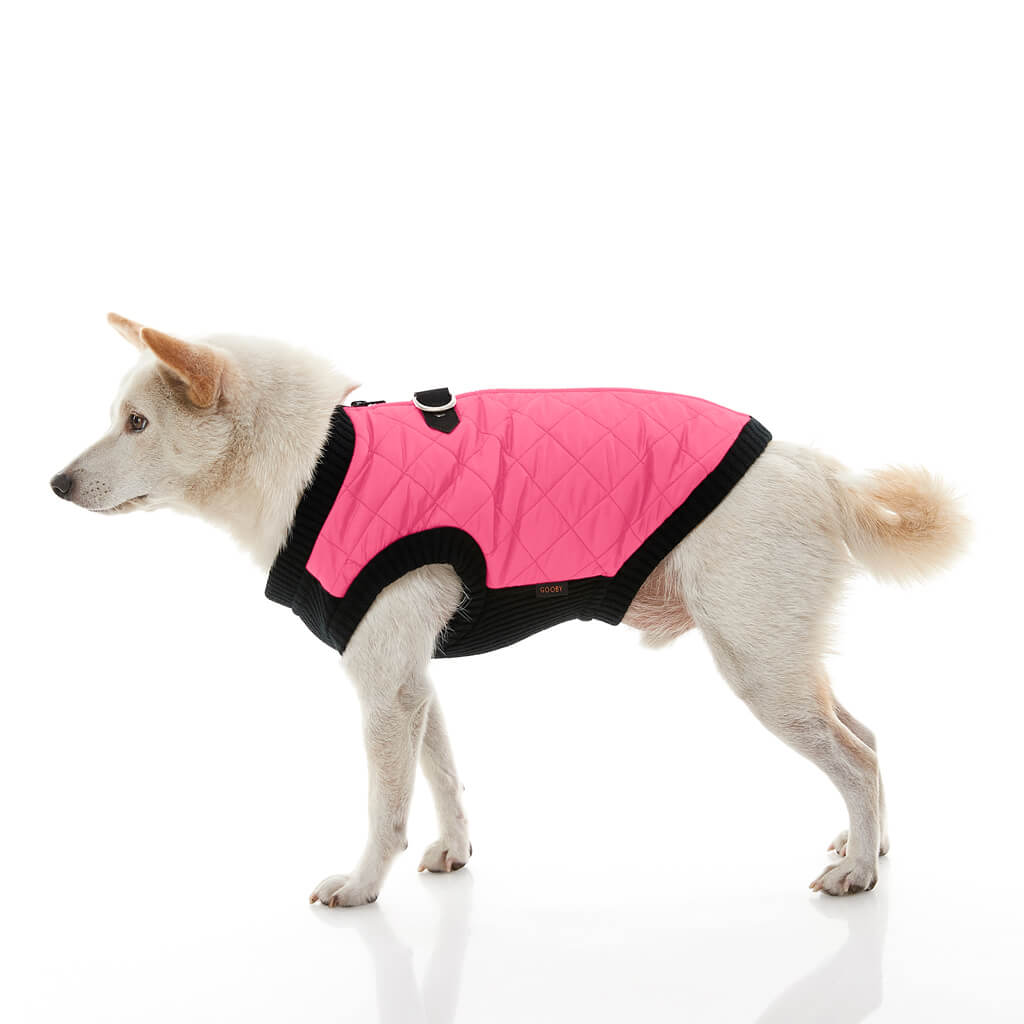 Fashion Vest from Gooby