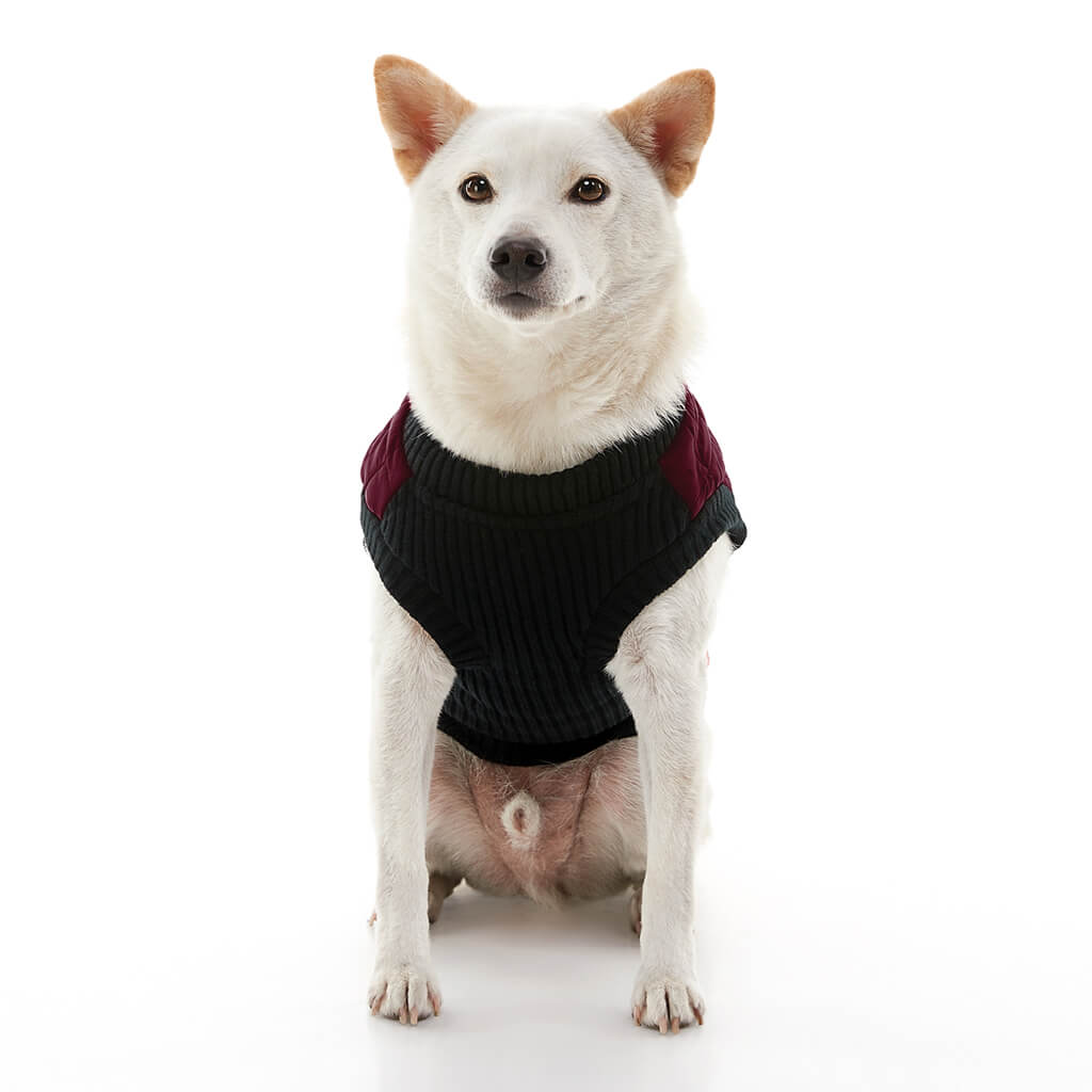 Fashion Vest from Gooby