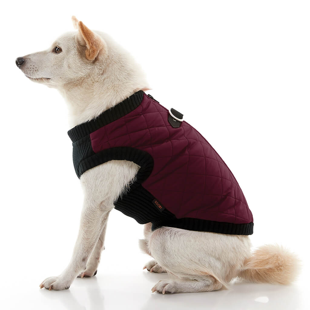 Fashion Vest from Gooby