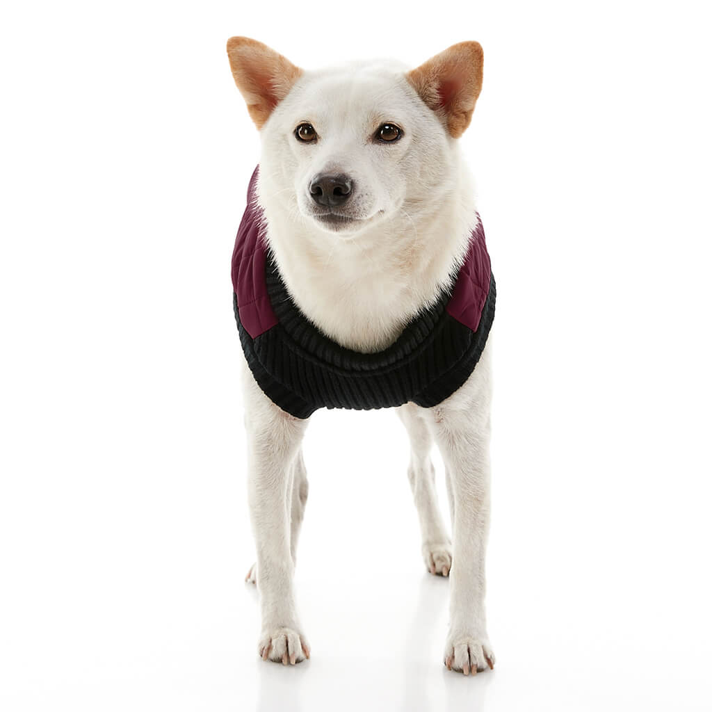 Fashion Vest from Gooby