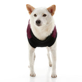 Fashion Vest from Gooby