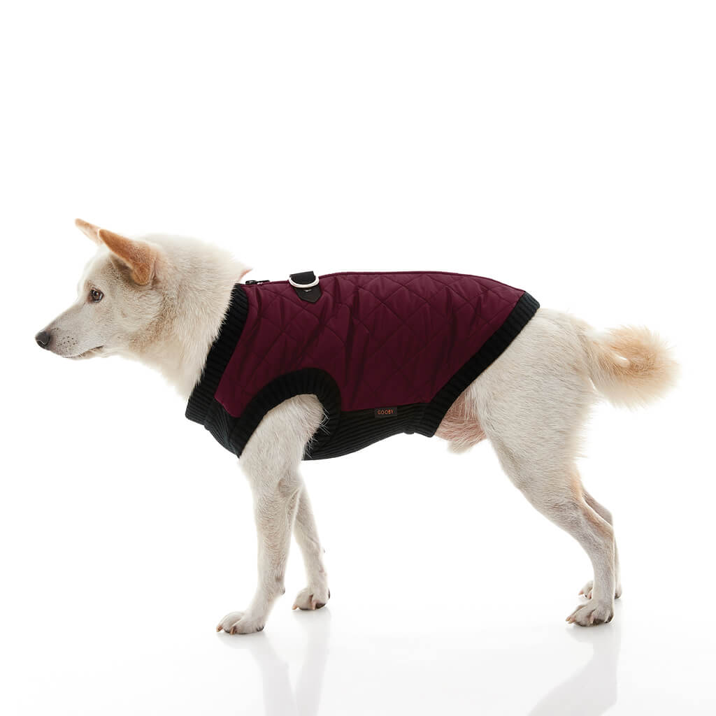 Fashion Vest from Gooby