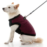 Fashion Vest from Gooby
