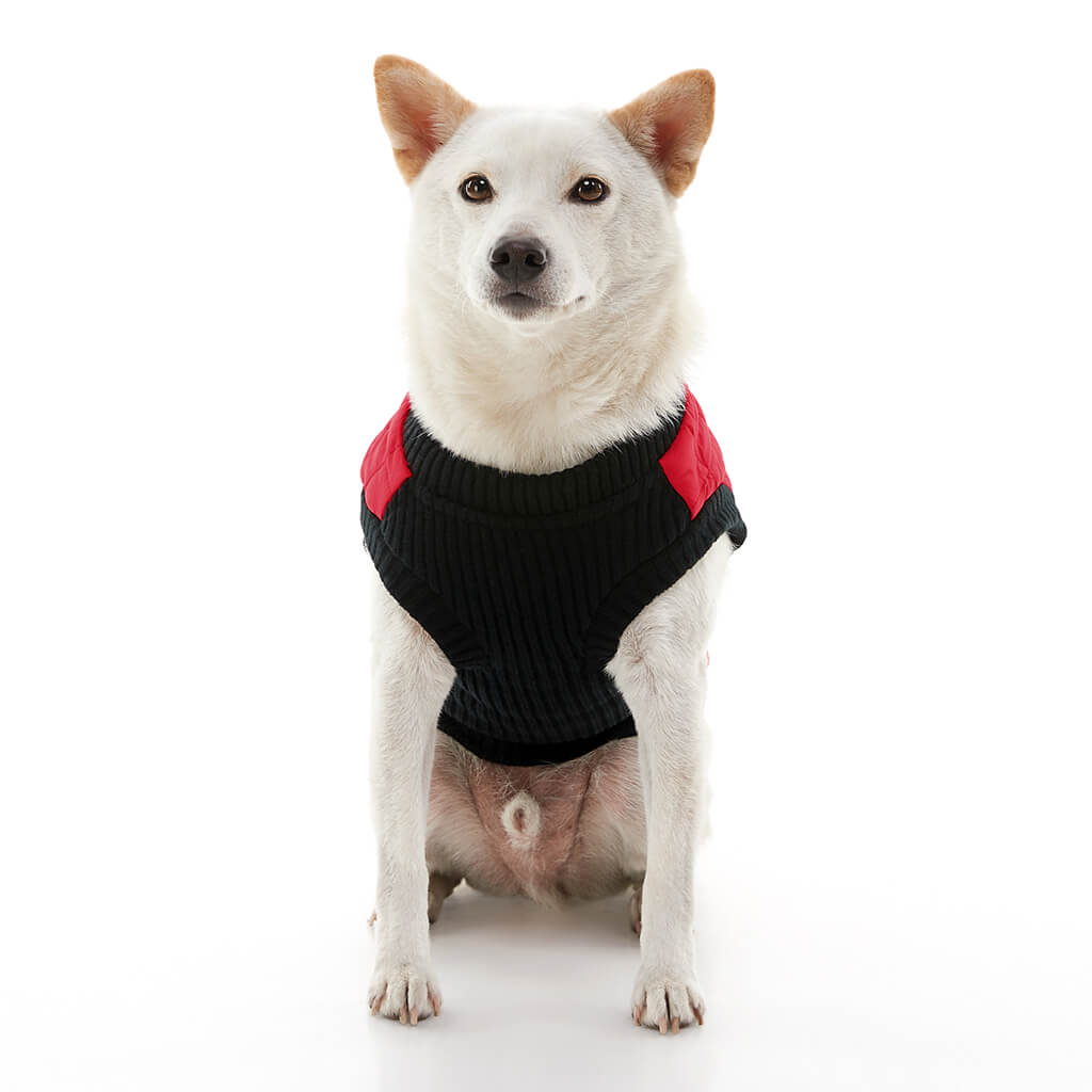 Fashion Vest from Gooby