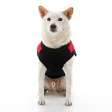 Fashion Vest from Gooby
