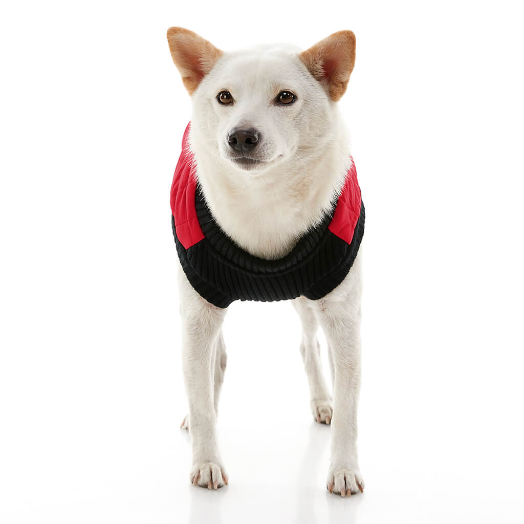 Fashion Vest from Gooby