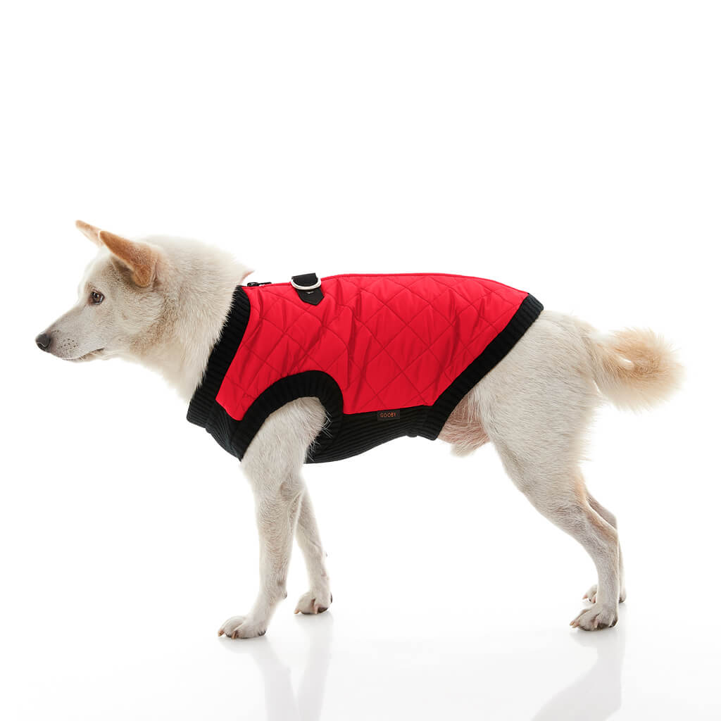Fashion Vest from Gooby