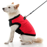 Fashion Vest from Gooby