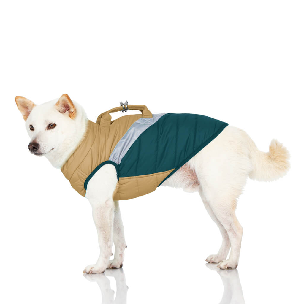 Mountaineer Jacket from Gooby