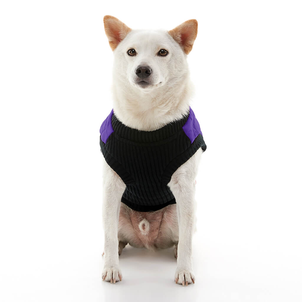 Fashion Vest from Gooby