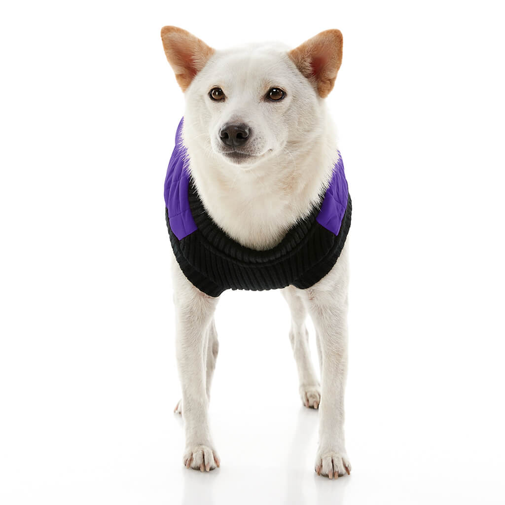 Fashion Vest from Gooby