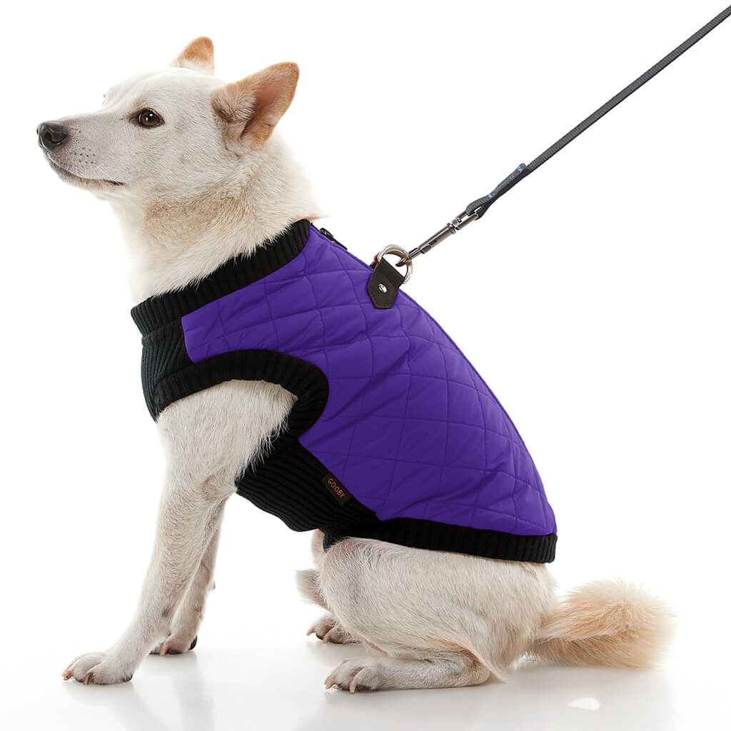 Fashion Vest from Gooby